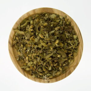 Mexican Oregano