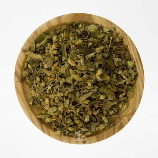 Mexican Oregano